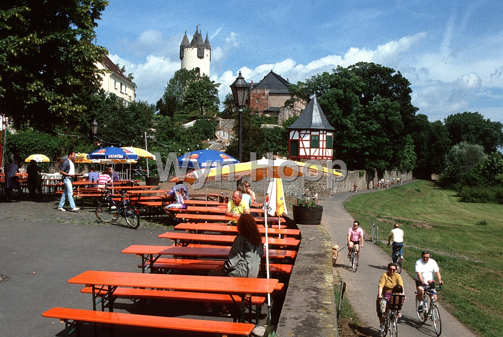 Main Steinheimer Altarm Radler km58,2.jpg - Radler am Steinheimer Altarm Main-km 58,2